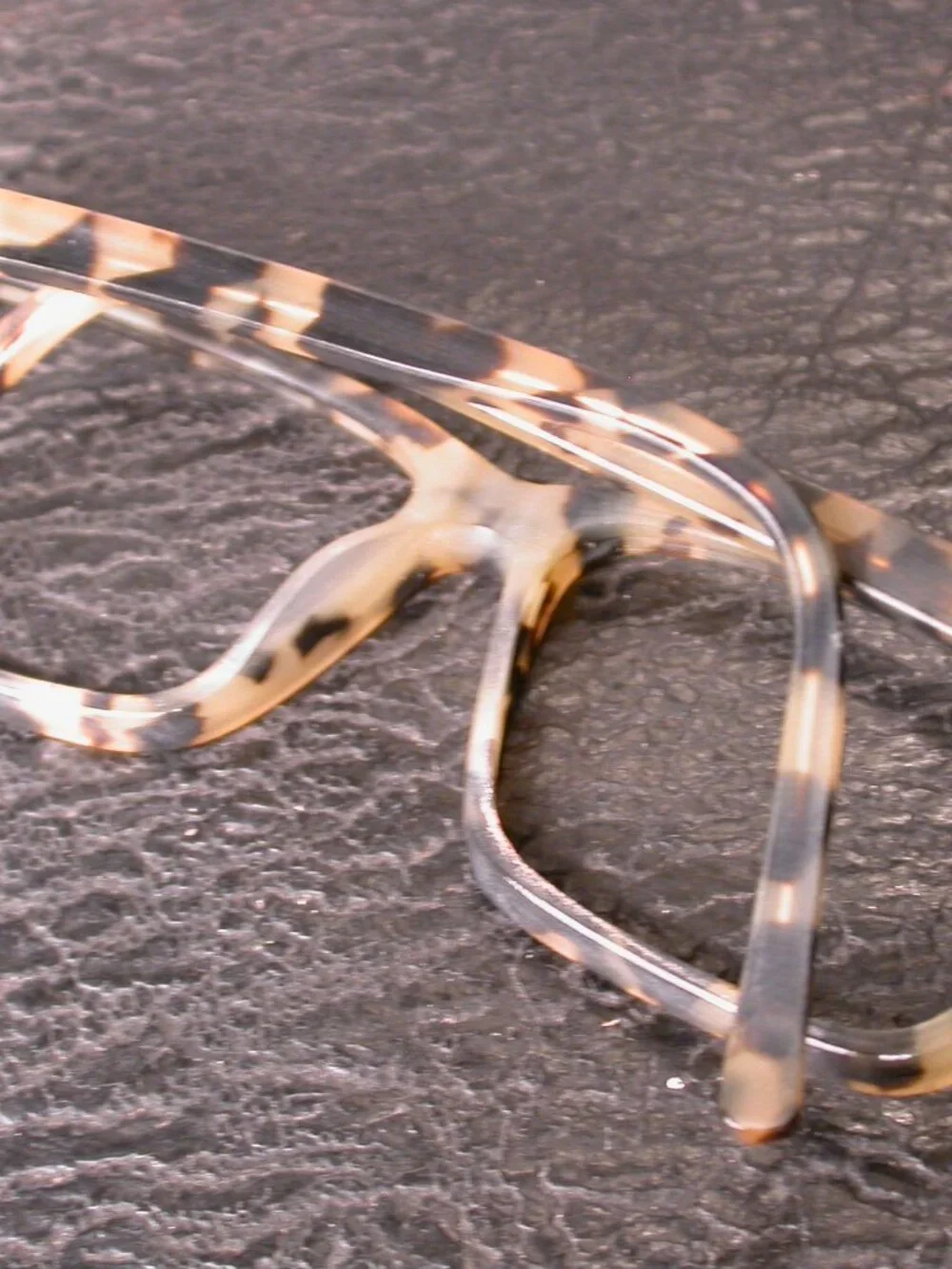 Carter Bond Australia Blonde Tortoise Classic Eyeglasses Frames Handmade